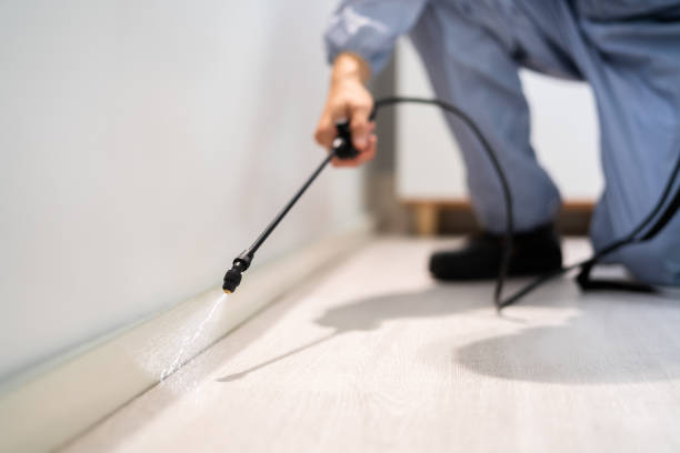 Bed Bug Pre-Treatment Preparation Assessment in Mount Cobb