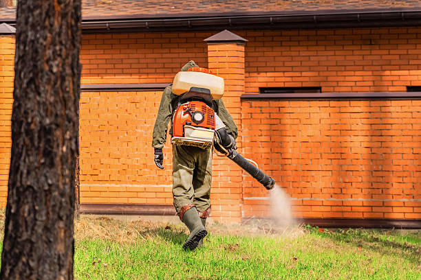 Bed Bug Clearance Verification and Documentation in Mount Cobb